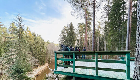 Projekts “Rīvas dabas parka “Rīvas loki” labiekārtošana, pieejamības nodrošināšana un izzinošo materiālu izvietošana